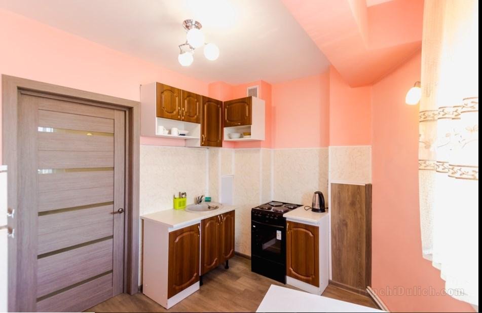 35平方米開放式公寓 (烏蘭烏德市中心) - 有1間私人浴室