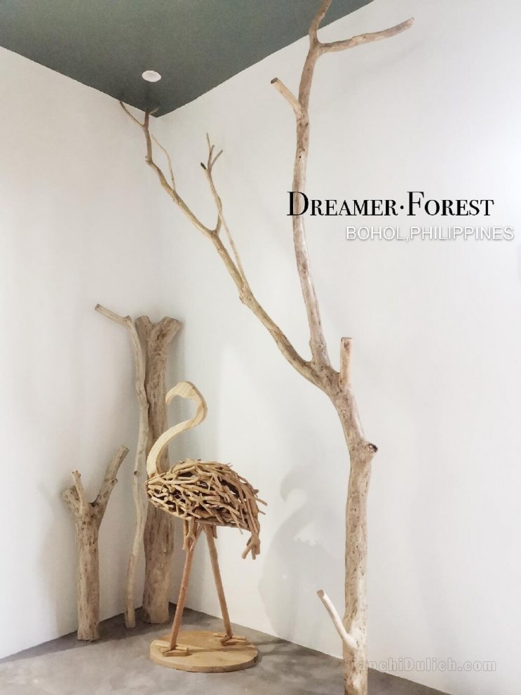 Dreamer. Forest--Panglao,Bohol, [Modern villa]