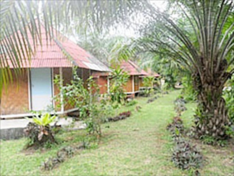 Racha Sunset Resort (Koh Siboya) Single Bungalow