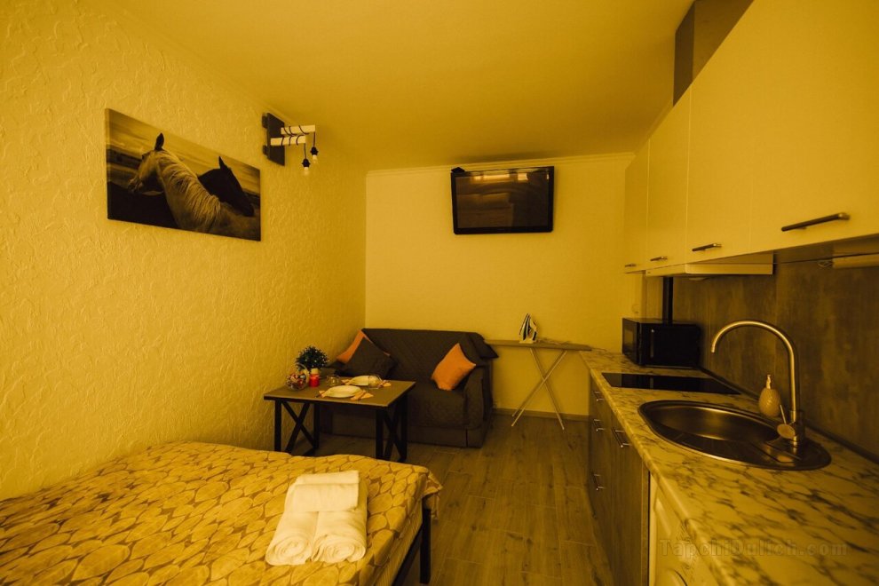 20平方米開放式公寓 (烏日霍羅德市中心) - 有1間私人浴室